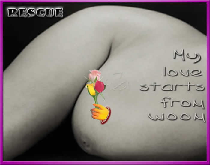 suchi restaurant image